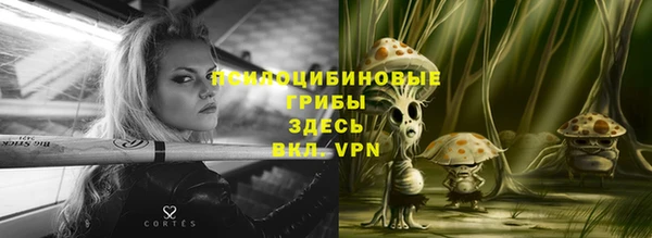 стафф Вязьма