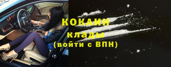 стафф Вязьма