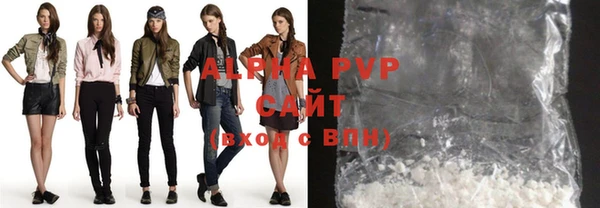 гашик Вяземский