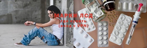 гашик Вяземский