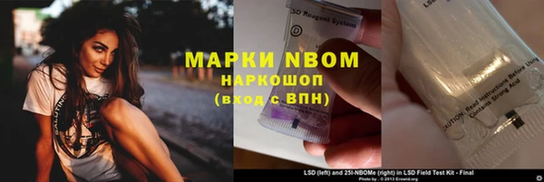 стафф Вязьма