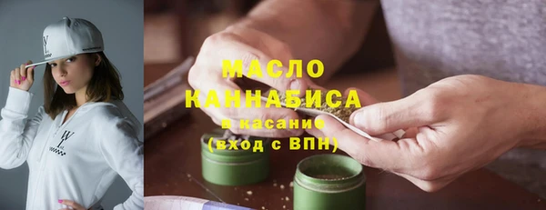 гашик Вяземский