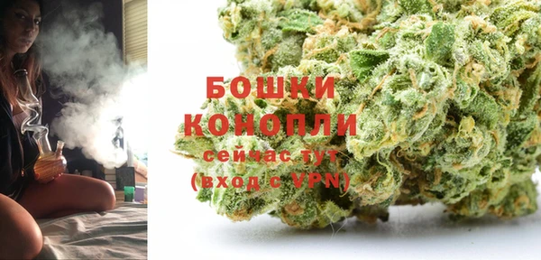 гашик Вяземский