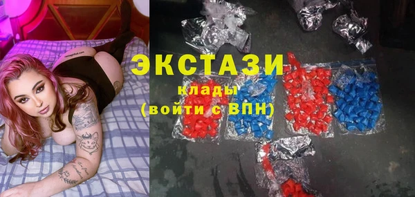 гашик Вяземский