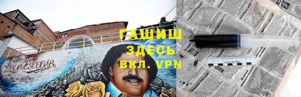 гашик Вяземский