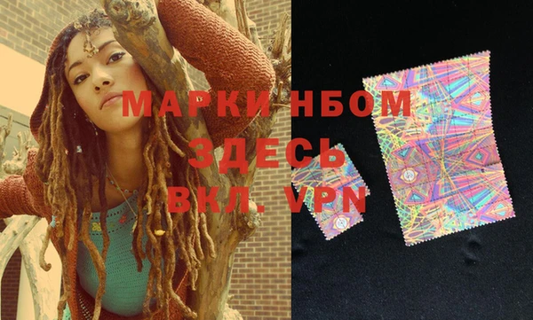 гашик Вяземский