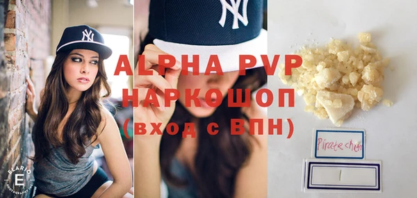 стафф Вязьма