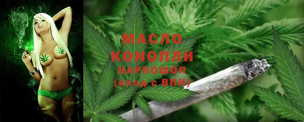 гашик Вяземский