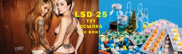 стафф Вязьма