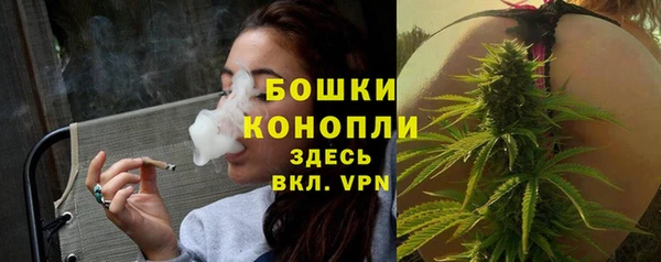 стафф Вязьма