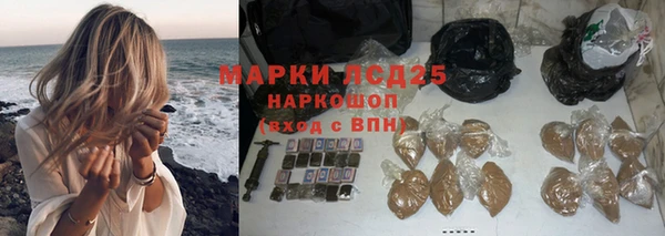 гашик Вяземский