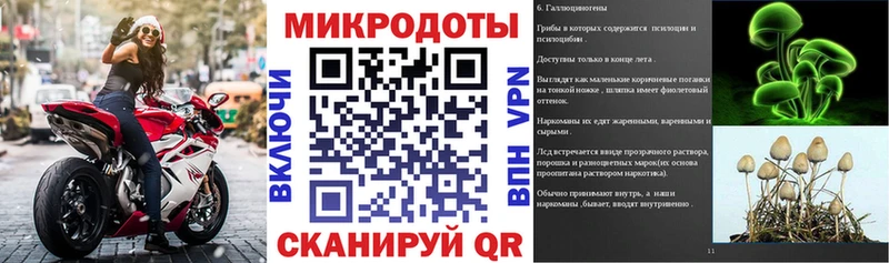 Псилоцибиновые грибы Cubensis  Усть-Илимск 
